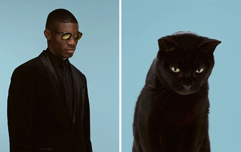 do you look like your cat photo shoot