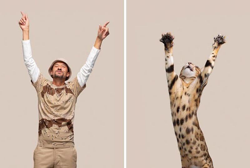do you look like your cat photo shoot