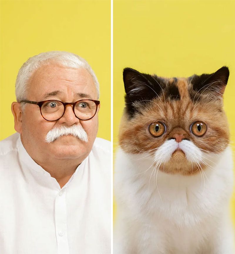 do you look like your cat photo shoot