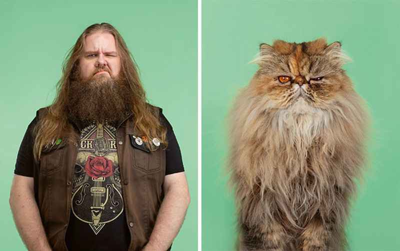 do you look like your cat photo shoot