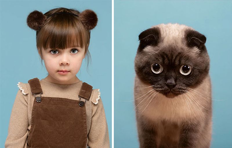 do you look like your cat photo shoot