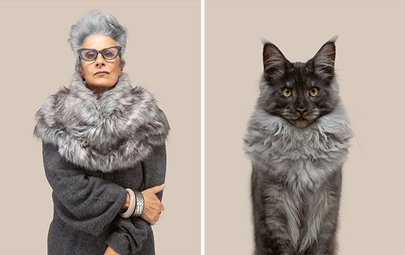 do you look like your cat photo shoot