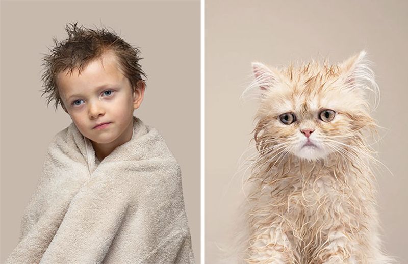 do you look like your cat photo shoot