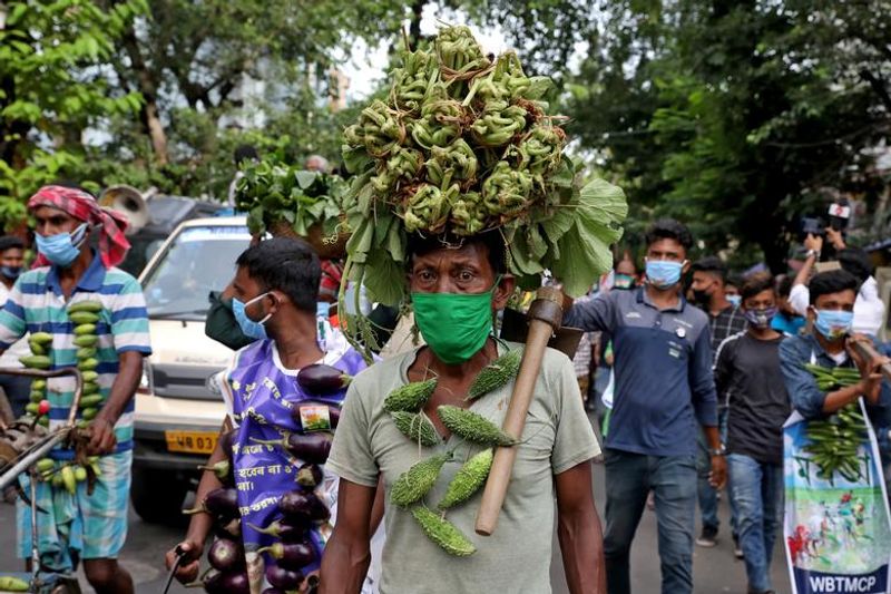 half of the indian population will be covid patients by february