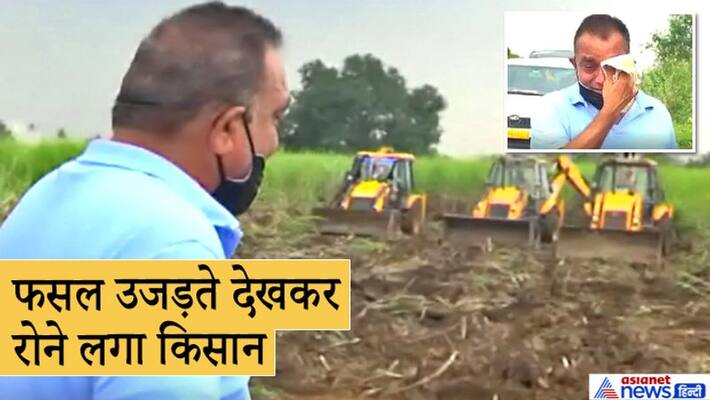 Farmer started crying when they saw bulldozer on their crop in Surat kpa Farmer started crying when they saw bulldozer on their crop in Surat kpa