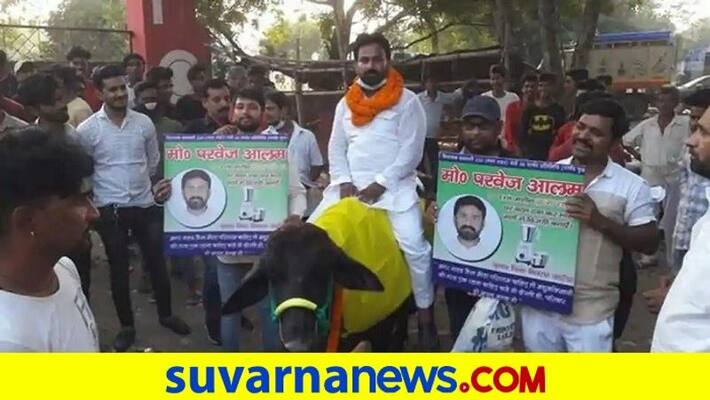 Candidate in Gaya booked for riding a buffalo for election campaign rbj Candidate in Gaya booked for riding a buffalo for election campaign rbj