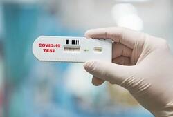 Coronavirus Indias active cases at less than 5000 in single day recovery rate at 88.63