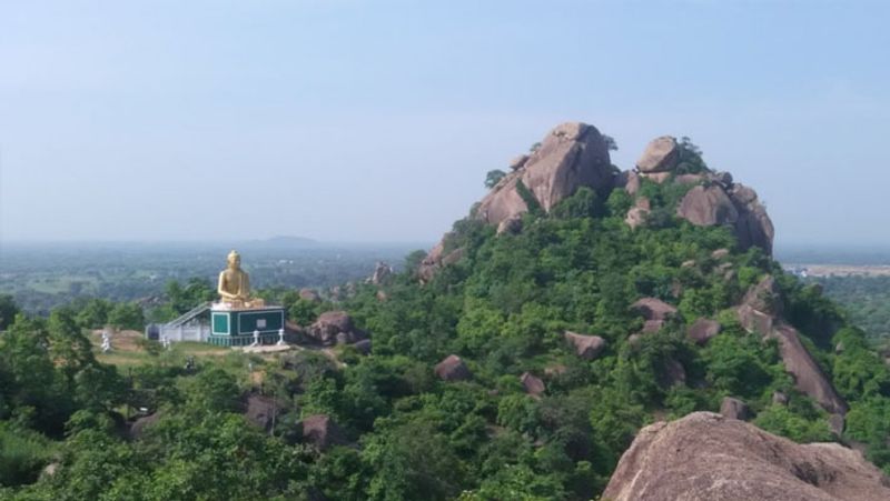 डोंगरगढ़ धार्मिक सद्भाव का कस्बा है। यहां हिंदू मंदिरों के अलावा बौद्ध, सिख, ईसाई और जैन मंदिर भी हैं।