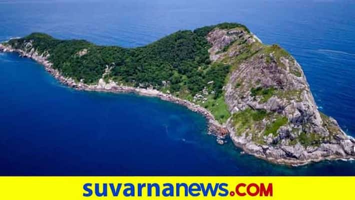No chance to live in this horrible snake island No chance to live in this horrible snake island