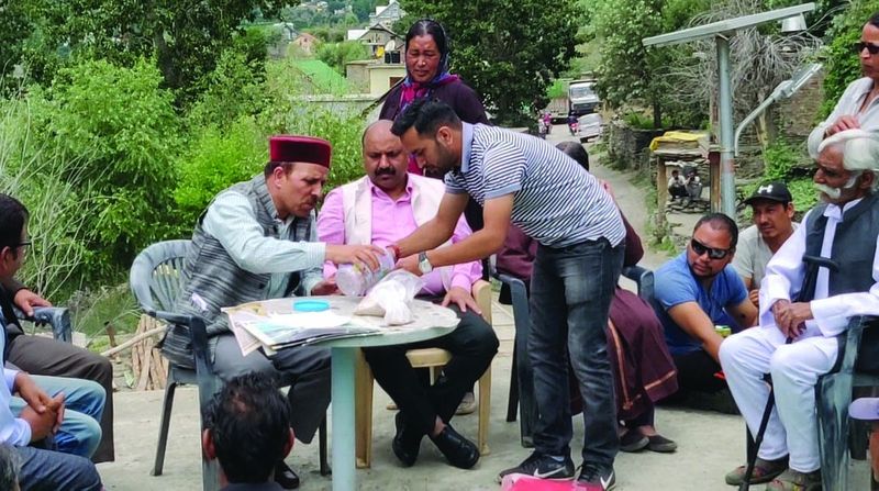 India begins Heeng cultivation in Himachal Pradesh
