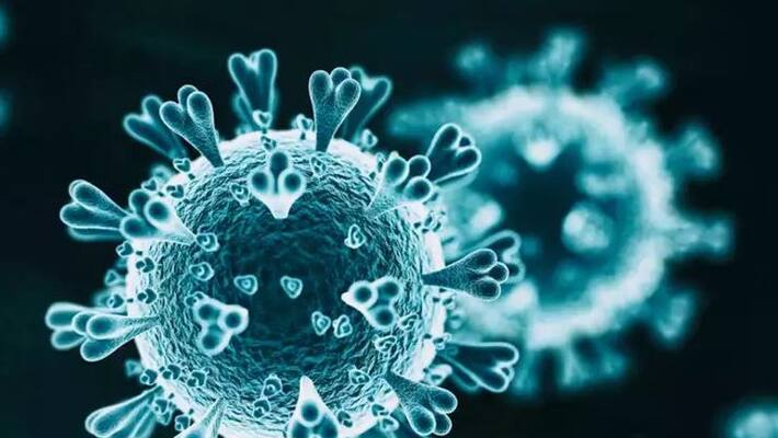 covid 19 reinfection in recovered patients possible if antibodies reduce within 5 months ICMR covid 19 reinfection in recovered patients possible if antibodies reduce within 5 months ICMR