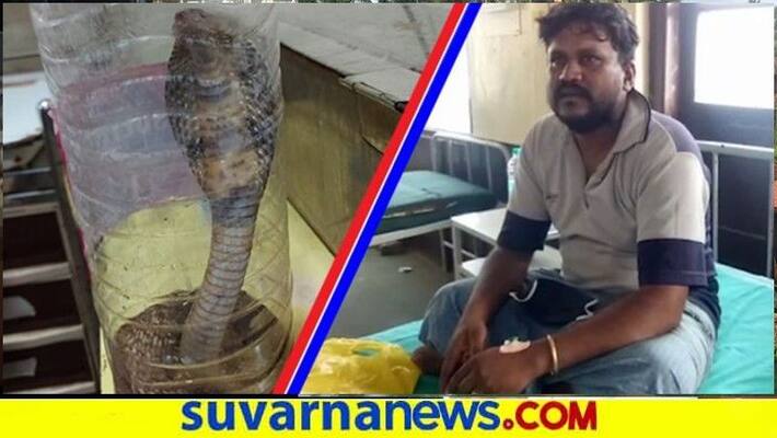 Snake Vishwanath Came Hospital With Snake in Hubli snr Snake Vishwanath Came Hospital With Snake in Hubli snr