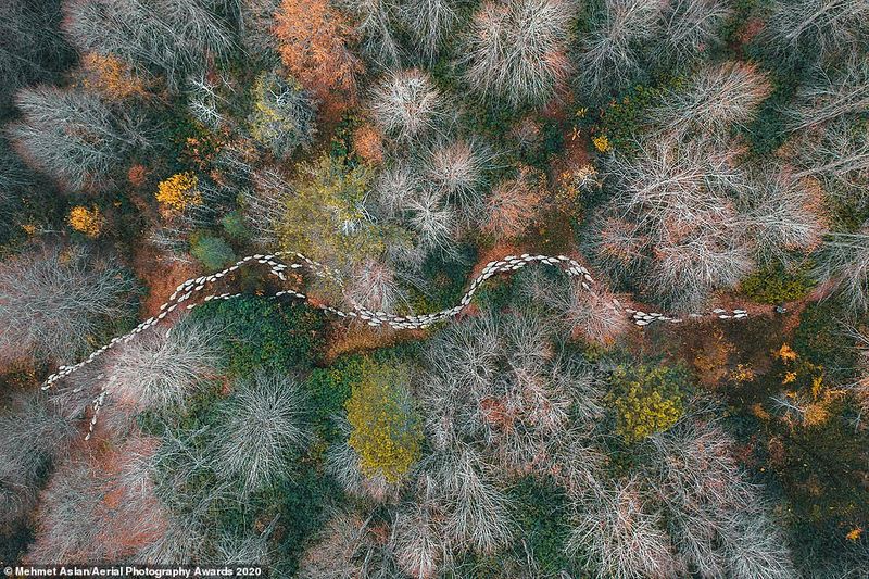 aerial photography award 2020 photostory