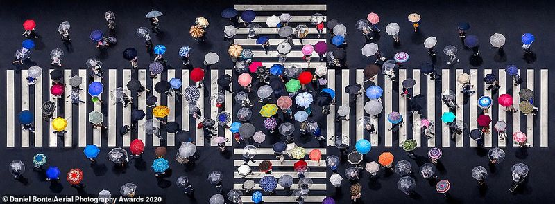 aerial photography award 2020 photostory
