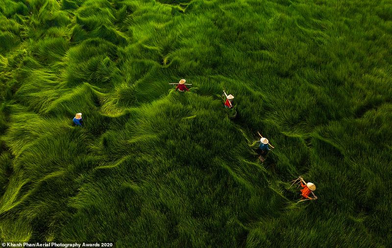 aerial photography award 2020 photostory