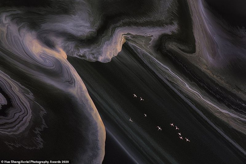 aerial photography award 2020 photostory