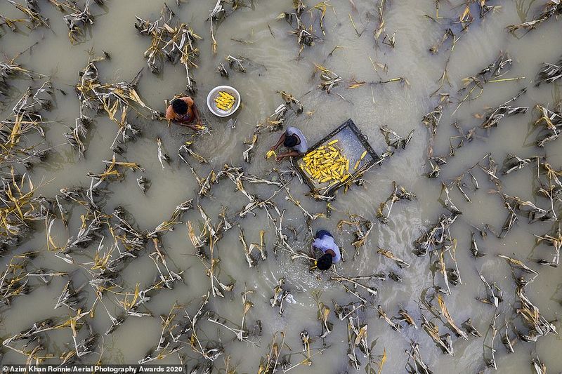 aerial photography award 2020 photostory
