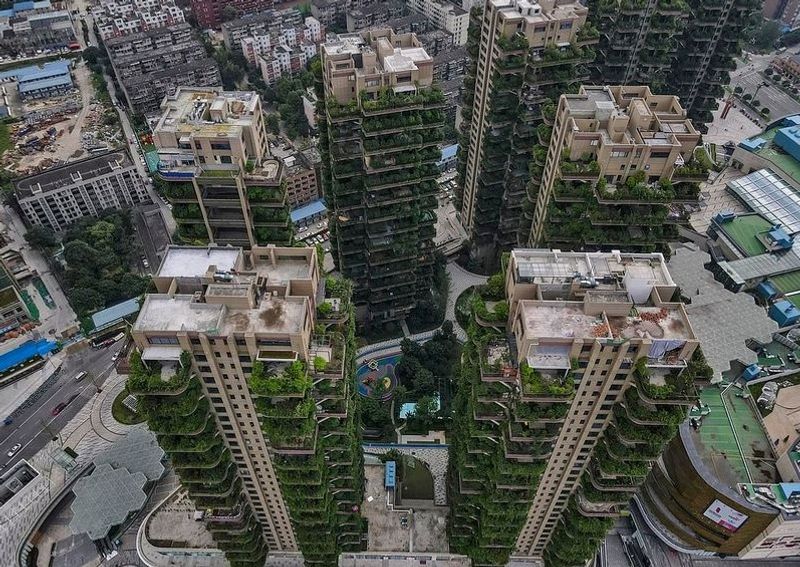 China Green housing project turns into mosquito infested jungle dpl