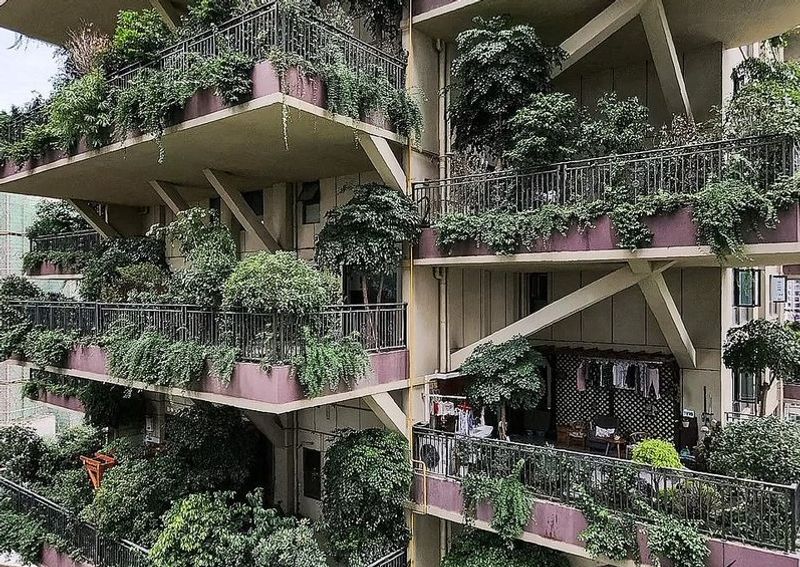 China Green housing project turns into mosquito infested jungle dpl