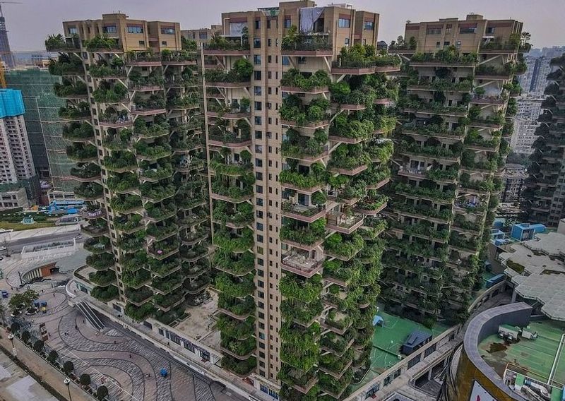China Green housing project turns into mosquito infested jungle dpl