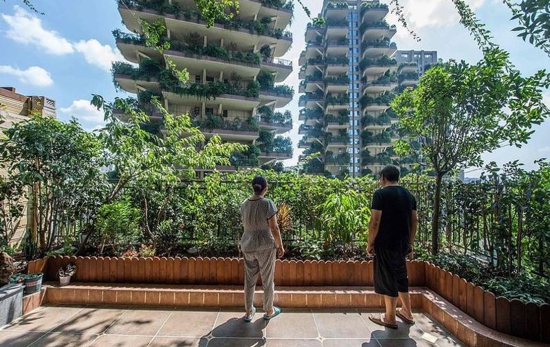 China Green housing project turns into mosquito infested jungle dpl