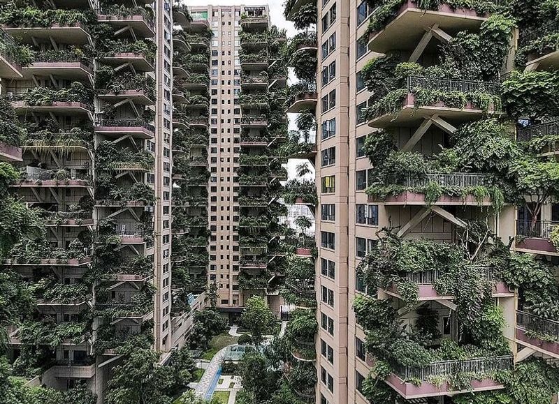 China Green housing project turns into mosquito infested jungle dpl