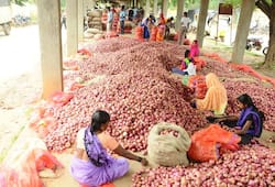 Good news: know where onion is getting 35 rupees per kg