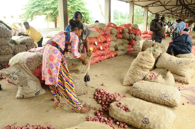 Onion Price Increase Due to Heavy Rain in Gadag District grg