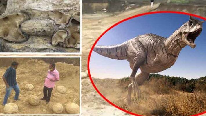 perambalur Dinosaur eggs found perambalur Dinosaur eggs found