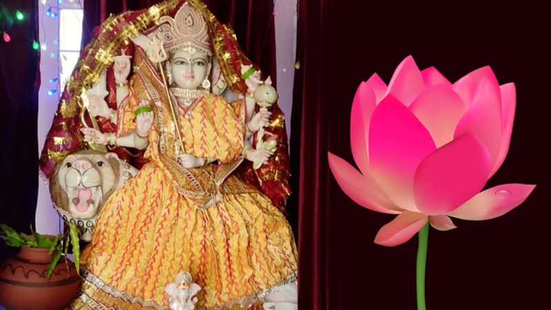 2. किसी दुर्गा मंदिर में जाकर 8 कमल के फूल माता को अर्पित करें। इससे माता प्रसन्न होती हैं।
