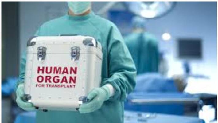 organ donation scams in Kerala make use of forged documents finds crime branch organ donation scams in Kerala make use of forged documents finds crime branch