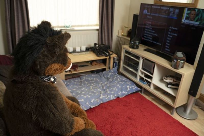 life of human pup Kaz James images