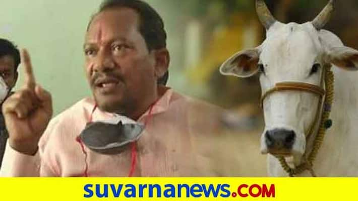 prabhu chauhan reaction on Pollution control board guidelines to dairy farms mah prabhu chauhan reaction on Pollution control board guidelines to dairy farms mah