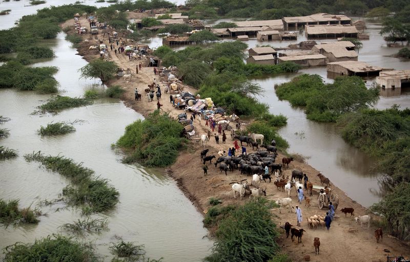 Pakistan to sell two Sindh islands to China