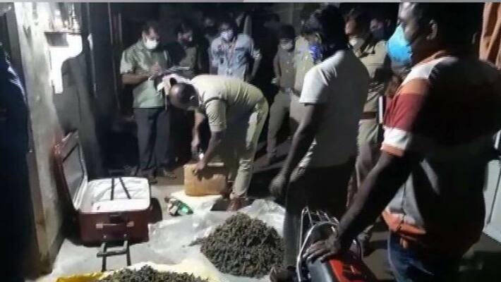 man arrested with marijuana in kollam man arrested with marijuana in kollam