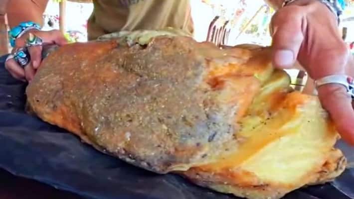 Two Arrested For Ambergris Selling in Bengaluru grg Two Arrested For Ambergris Selling in Bengaluru grg