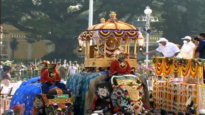 Even jumbos need COVID negative test reports to take part in Mysuru Dasara Even jumbos need COVID negative test reports to take part in Mysuru Dasara