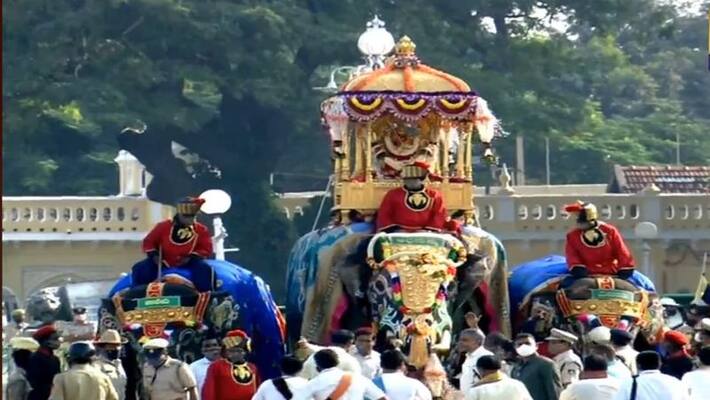 Cattle Fear At Ayudha Pooja in Mysuru Palace snr Cattle Fear At Ayudha Pooja in Mysuru Palace snr