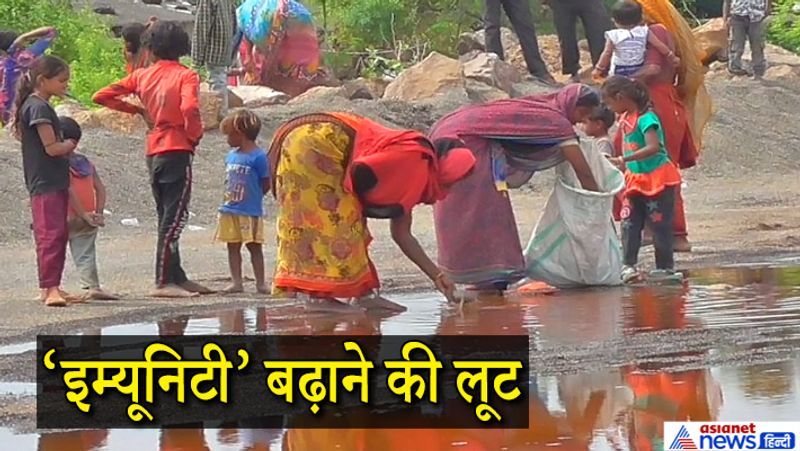 जूनागढ़, गुजरात. महिलाओं के विरोध को देखते हुए सरकारें शराब की बिक्री को लेकर समय-समय पर अपने फैसले बदलती रहती हैं। गुजरात में शराब बैन (liquor ban) है। इसमें भी महिलाओं की अहम भूमिका रही है, लेकिन कोरोना ने स्थिति बदलकर रख दी है। यह तस्वीर केशोद शहर के समीपवर्ती एक गांव में पिछले महीने सामने आई थी। ये महिलाएं शराब लूटने में लगी हैं। जब महिलाओं को खबर लगी कि प्रशासन लाखों लीटर अवैध शराब पर बुल्डोजर चलवा रही है, तो वे बोतले लूटने पहुंच गईं। उनका तर्क था कि शराब पीने से इम्यूनिटी (immunity) बढ़ती है। सर्दी-खांसी नहीं होती। यानी कोरोना से बचने इससे अच्छा दूसरा कोई उपाय नजर नहीं आता। आगे पढ़ें इसी खबर के बारे में...