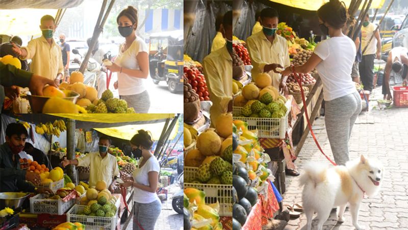 बता दें कि मलाइका अक्सर अपने डॉगी के साथ घूमती नजर आती रहती है। ज्यादातर वे अपनी बिल्डिंग के आसपास भी ही टहलना पसंद करती है। 
