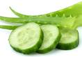 Did you know cucumber peels can be used in making eco-friendly packaging material?