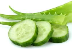 Did you know cucumber peels can be used in making eco-friendly packaging material?
