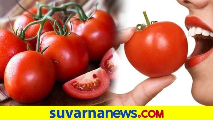 Kolar Farmers Fear About Tomato crop diseases snr Kolar Farmers Fear About Tomato crop diseases snr