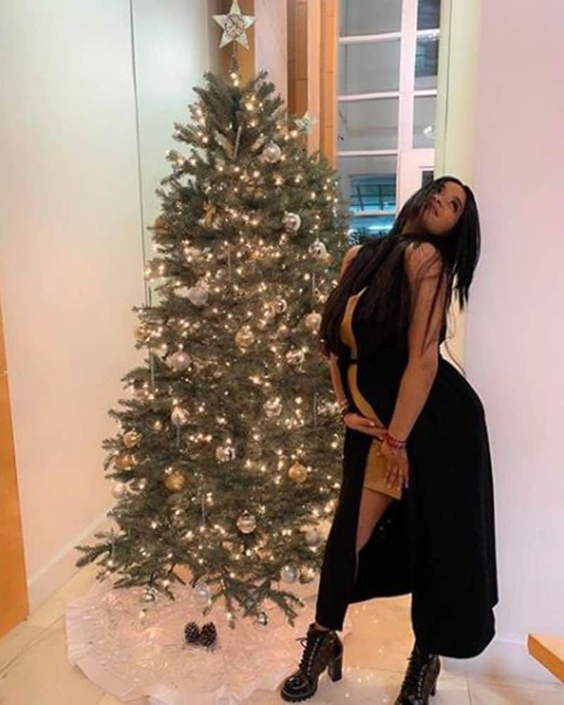 T20 WC 2021, Viral pictures of West Indies cricketer Andre Russell's wife Jassym Lora during pregnancy spb