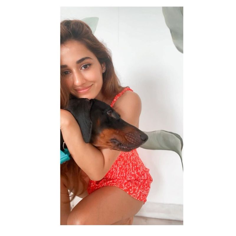 disha patani lit fire to internet with her latest hot photos ksr