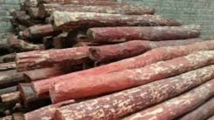 sandalwood was stolen from wayanad collectorate sandalwood was stolen from wayanad collectorate