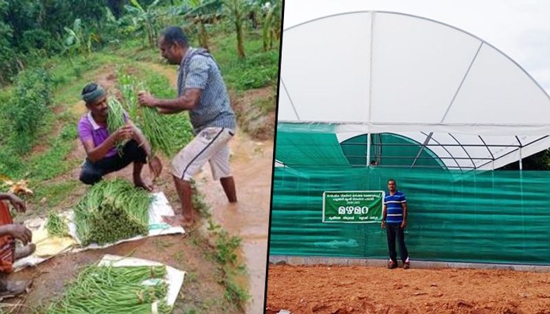 How a sports teacher has been a successful banana cultivator