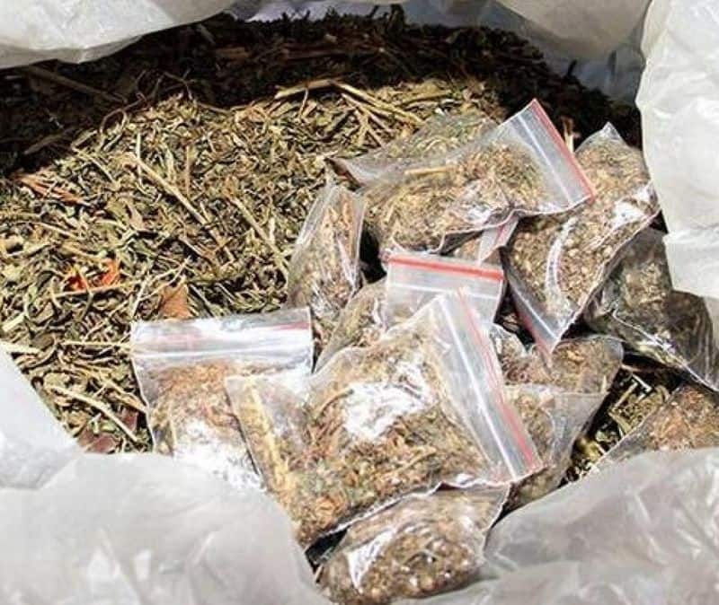 Dop dumped alcohol in the trash ... Tamil Nadu is a drug forest ... Cannabis in the ovary bundle
