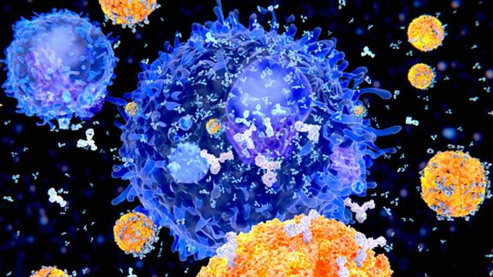 coronavirus antibodies present 6 months after second covid jab says study bsm coronavirus antibodies present 6 months after second covid jab says study bsm