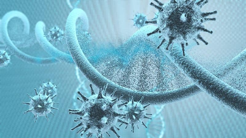 Coronavirus West Bengal reports highest single day recoveries-dbr